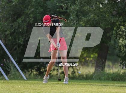 Thumbnail 1 in UIL 5A Golf Finals photogallery.