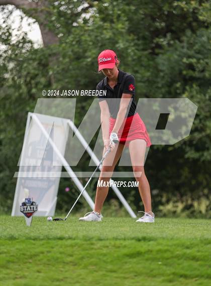 Thumbnail 3 in UIL 5A Golf Finals photogallery.