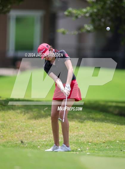 Thumbnail 2 in UIL 5A Golf Finals photogallery.