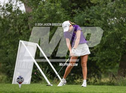 Thumbnail 3 in UIL 5A Golf Finals photogallery.