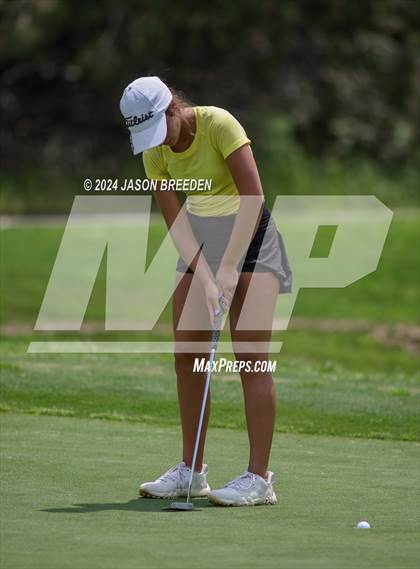 Thumbnail 2 in UIL 5A Golf Finals photogallery.
