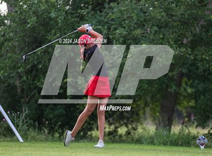 Thumbnail 2 in UIL 5A Golf Finals photogallery.