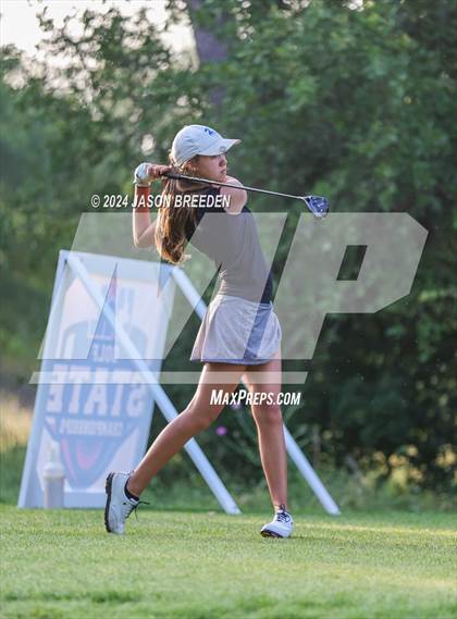Thumbnail 1 in UIL 5A Golf Finals photogallery.