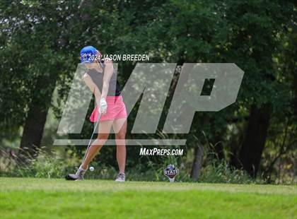 Thumbnail 1 in UIL 5A Golf Finals photogallery.