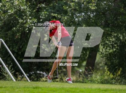 Thumbnail 1 in UIL 5A Golf Finals photogallery.