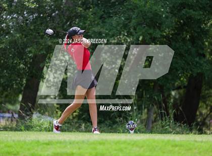 Thumbnail 3 in UIL 5A Golf Finals photogallery.