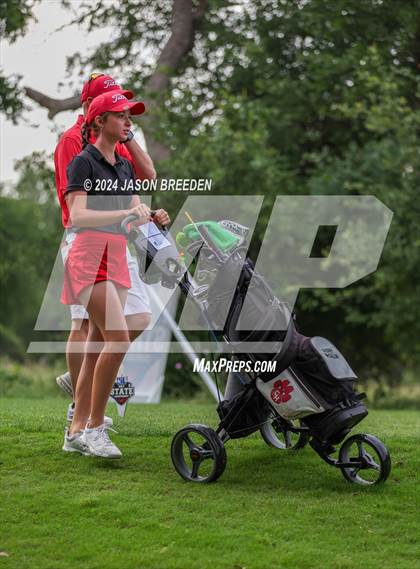 Thumbnail 1 in UIL 5A Golf Finals photogallery.