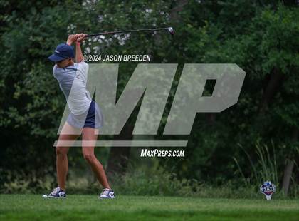 Thumbnail 1 in UIL 5A Golf Finals photogallery.