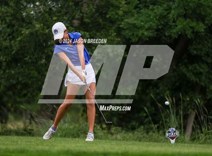 Thumbnail 1 in UIL 5A Golf Finals photogallery.