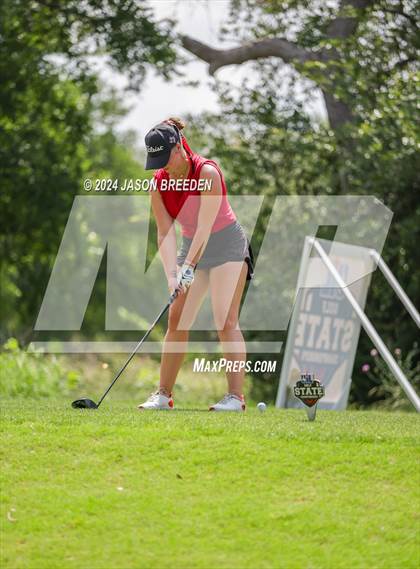 Thumbnail 3 in UIL 5A Golf Finals photogallery.