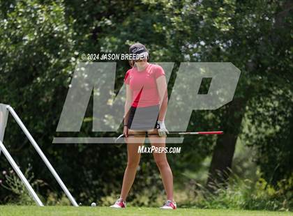 Thumbnail 3 in UIL 5A Golf Finals photogallery.