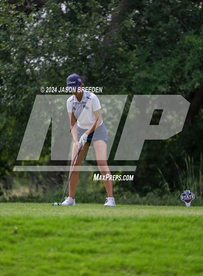 Thumbnail 1 in UIL 5A Golf Finals photogallery.