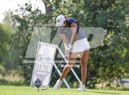 Thumbnail 1 in UIL 5A Golf Finals photogallery.