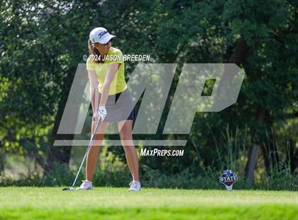Thumbnail 1 in UIL 5A Golf Finals photogallery.