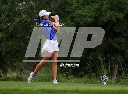 Thumbnail 2 in UIL 5A Golf Finals photogallery.