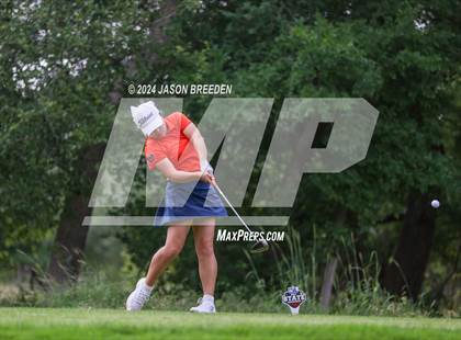 Thumbnail 3 in UIL 5A Golf Finals photogallery.