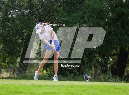 Thumbnail 3 in UIL 5A Golf Finals photogallery.