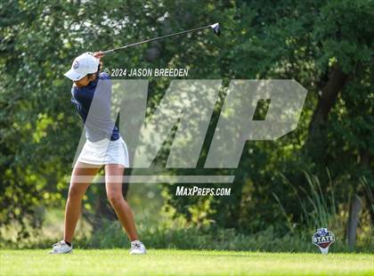 Thumbnail 1 in UIL 5A Golf Finals photogallery.