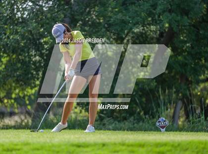 Thumbnail 1 in UIL 5A Golf Finals photogallery.