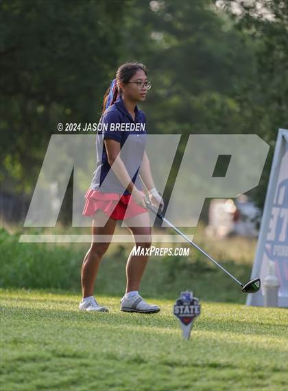 Thumbnail 1 in UIL 5A Golf Finals photogallery.
