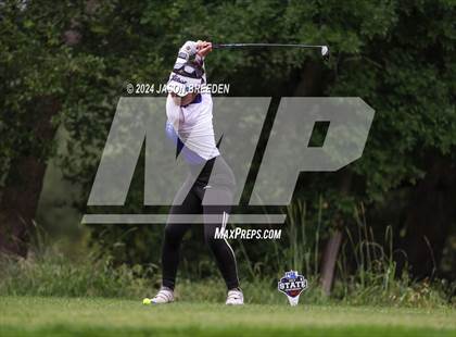 Thumbnail 2 in UIL 5A Golf Finals photogallery.