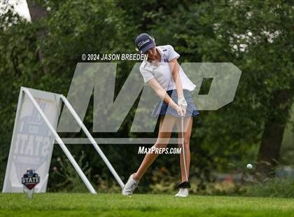 Thumbnail 2 in UIL 5A Golf Finals photogallery.