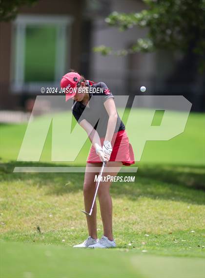 Thumbnail 3 in UIL 5A Golf Finals photogallery.