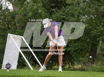 Thumbnail 2 in UIL 5A Golf Finals photogallery.