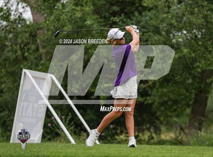 Thumbnail 1 in UIL 5A Golf Finals photogallery.