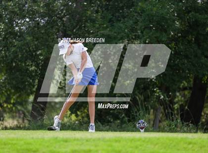 Thumbnail 1 in UIL 5A Golf Finals photogallery.