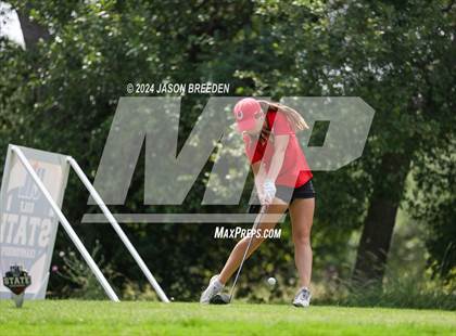 Thumbnail 3 in UIL 5A Golf Finals photogallery.