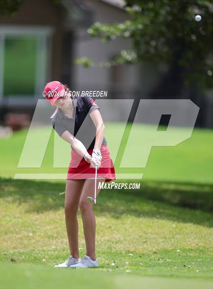 Thumbnail 1 in UIL 5A Golf Finals photogallery.
