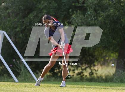Thumbnail 1 in UIL 5A Golf Finals photogallery.
