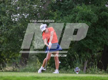 Thumbnail 1 in UIL 5A Golf Finals photogallery.