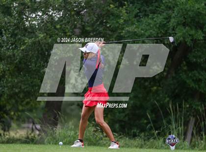 Thumbnail 3 in UIL 5A Golf Finals photogallery.