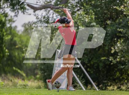 Thumbnail 2 in UIL 5A Golf Finals photogallery.