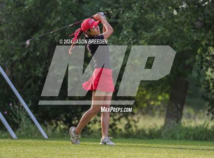 Thumbnail 3 in UIL 5A Golf Finals photogallery.
