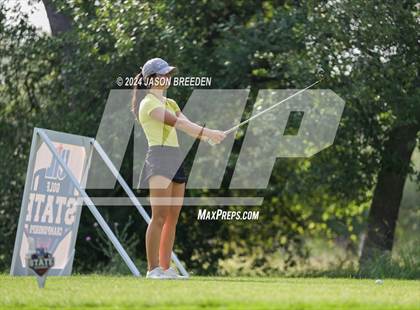 Thumbnail 3 in UIL 5A Golf Finals photogallery.