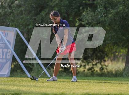 Thumbnail 3 in UIL 5A Golf Finals photogallery.