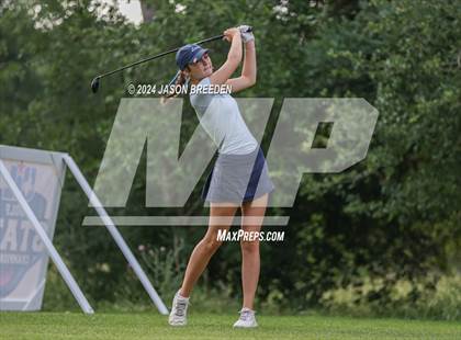 Thumbnail 2 in UIL 5A Golf Finals photogallery.