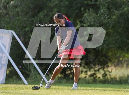 Thumbnail 2 in UIL 5A Golf Finals photogallery.