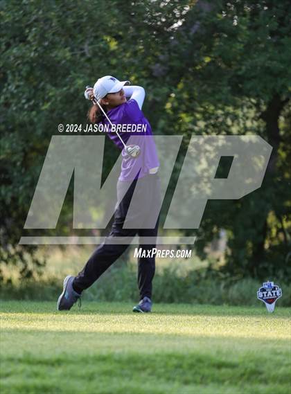 Thumbnail 1 in UIL 5A Golf Finals photogallery.