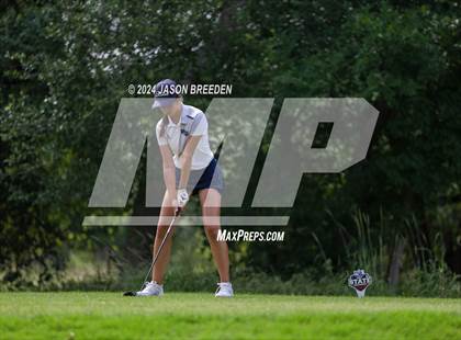 Thumbnail 2 in UIL 5A Golf Finals photogallery.