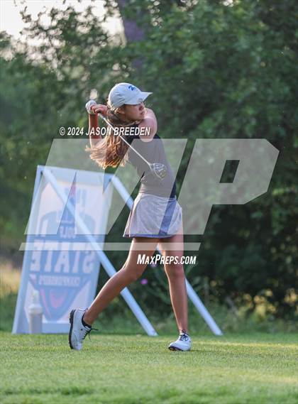 Thumbnail 2 in UIL 5A Golf Finals photogallery.