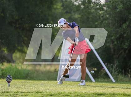 Thumbnail 3 in UIL 5A Golf Finals photogallery.