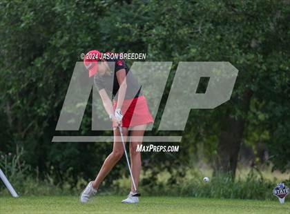 Thumbnail 1 in UIL 5A Golf Finals photogallery.