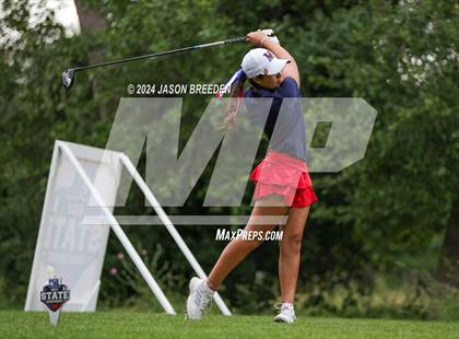 Thumbnail 1 in UIL 5A Golf Finals photogallery.