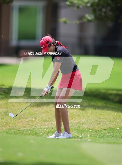 Thumbnail 1 in UIL 5A Golf Finals photogallery.