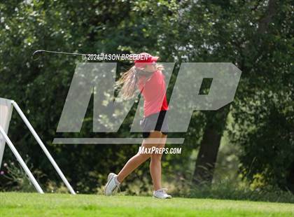 Thumbnail 1 in UIL 5A Golf Finals photogallery.