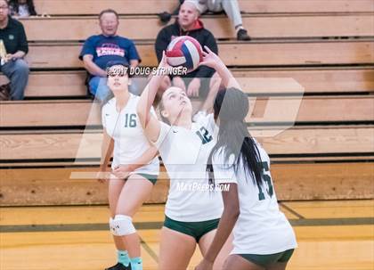Thumbnail 2 in American @ Moreau Catholic photogallery.